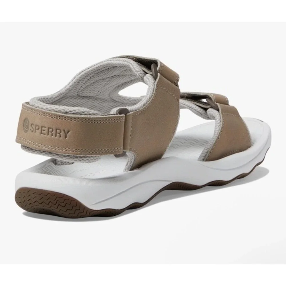 Sperry box torn